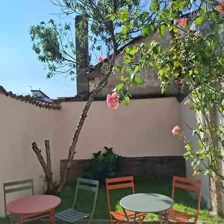 Apartment Garden - Alpha