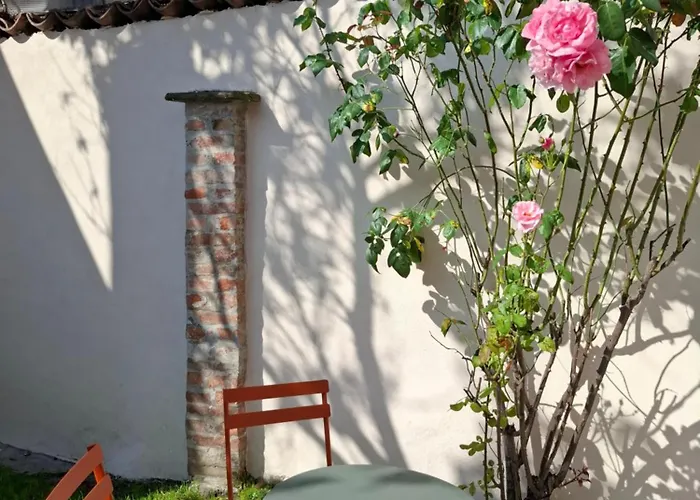 Garden - Alpha Διαμέρισμα *